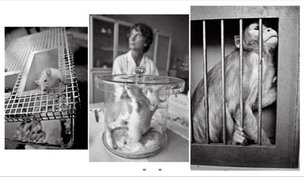 Pavel Vavroušek Fotograf odcházejícího světa - Image 20